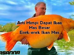 Mimpi Dapat Ikan Mas Merah